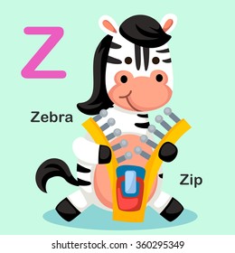 Illustration Isolated Animal Alphabet Letter Z-Zip,Zebra.vector