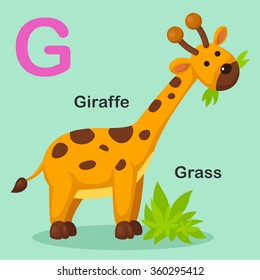 Illustration Isolated Animal Alphabet Letter G-Grass,Giraffe.vector