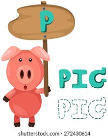 illustration of isolated animal alphabet p with pig