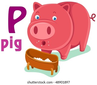 illustration of isolated animal alphabet P with pig