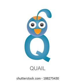illustration of isolated animal alphabet. Q is for quail. Vector illustration.