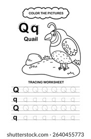 Illustration Isolated Animal Alphabet Trace and color Letter Q-quail