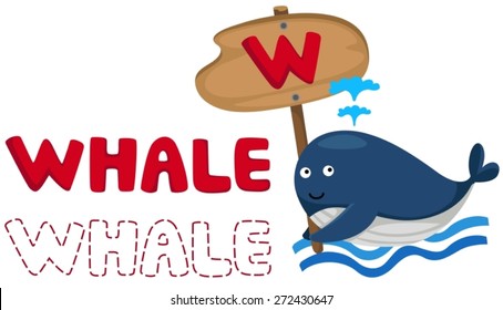 illustration of isolated animal alphabet w with whale