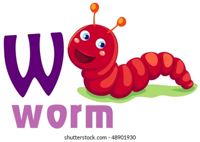 illustration of isolated animal alphabet W with worm
