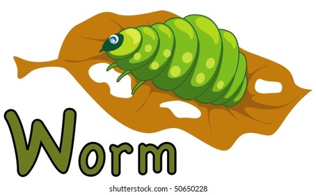 illustration of isolated animal alphabet W for worm