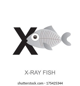 illustration of isolated animal alphabet. X is for x-ray fish. Vector illustration.