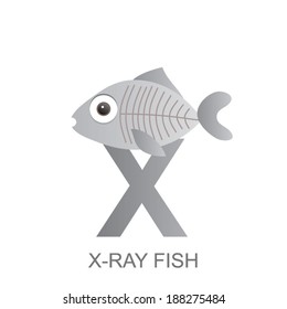 illustration of isolated animal alphabet. X is for x-ray fish. Vector illustration.