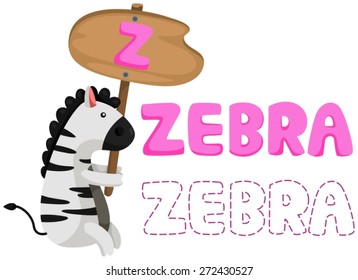 illustration of isolated animal alphabet z with zebra