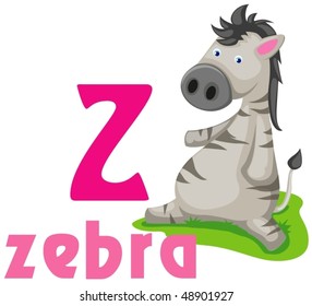 illustration of isolated animal alphabet Z with zebra