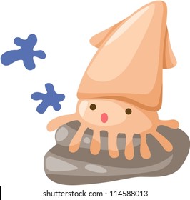illustration of isolated baby squid on white
