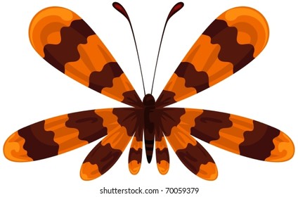 illustration of isolated a beautiful butterfly on white