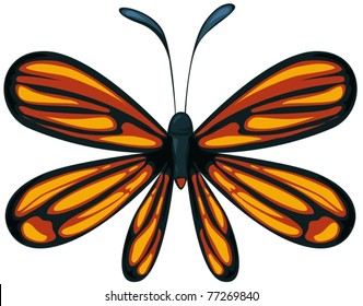 illustration of isolated a beautiful butterfly on white