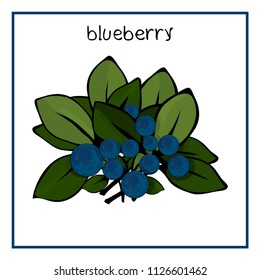 Illustration of isolated berries bushes. Blueberry, raspberry, blackberry, red currant, strawberry. EPS10