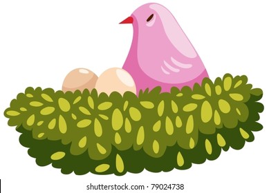 illustration of isolated bird and nest on white background