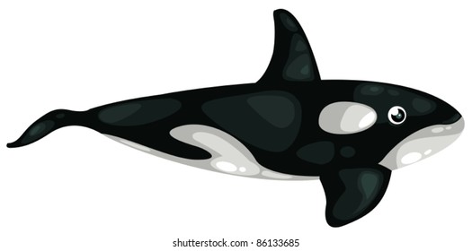 illustration of isolated a black shark on white background