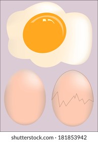 illustration of isolated broken egg on white background 