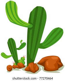illustration of isolated cactus on white background