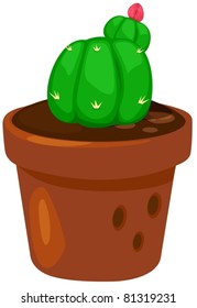 illustration of isolated cactus on white background