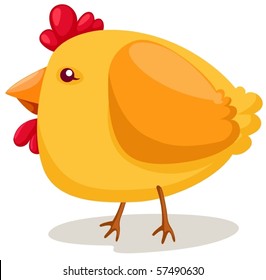 illustration of isolated cartoon chicken on white background
