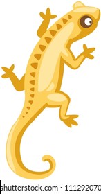 Illustration Of Isolated Cartoon Lizard On White