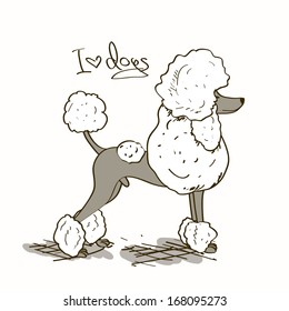 Illustration with isolated cartoon Poodle dog 