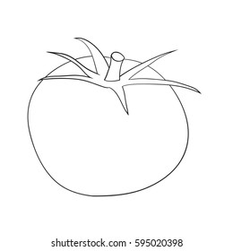 Illustration of Isolated Cartoon Tomato. Vector EPS 8.
