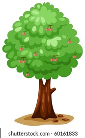 illustration of isolated cherry tree on white background