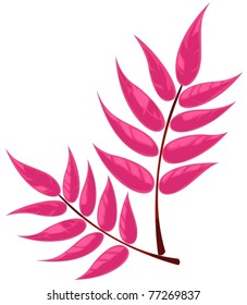 illustration of isolated colorful leaf on white background