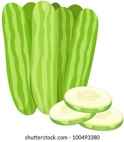 illustration of isolated cucumber on white