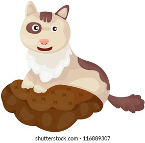 illustration of isolated cute cat on white background