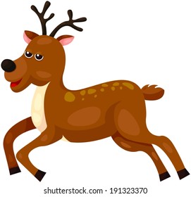 illustration of isolated cute deer on white