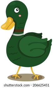 illustration of isolated cute green duck on white 
