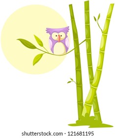 illustration of isolated cute owl sitting on bamboo tree