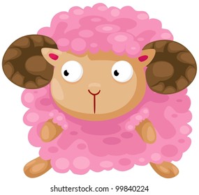 illustration isolated cute sheep