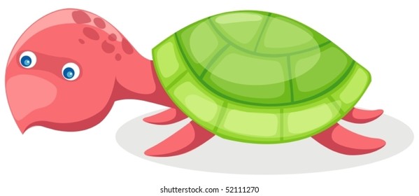 illustration of isolated cute turtle on white background