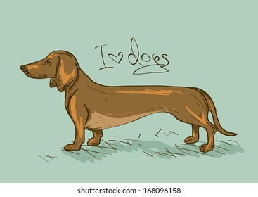 Illustration with isolated Dachshund dog 