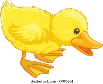 Illustration of an isolated duck