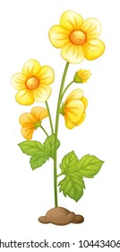Illustration of isolated flower in soil