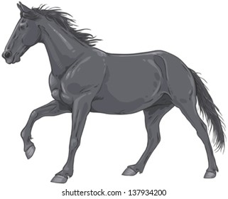 Illustration of an isolated galloping isolated black horse