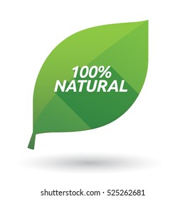 Illustration of an isolated green leaf ecological icon with    the text 100% NATURAL