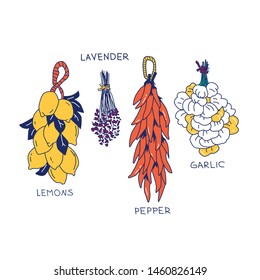 Illustration of isolated hanging fruits and vegetables. For t-shirt, textile, card, paper print and design.