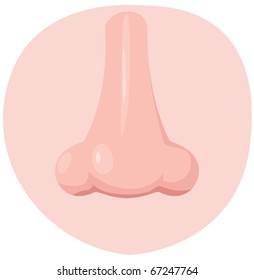 illustration of isolated human nose on white background