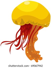 illustration of isolated jelly fish on white background