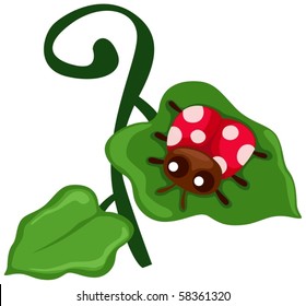 illustration of isolated ladybug on the leaf