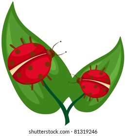 illustration of isolated ladybug on the leaf
