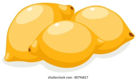 illustration of isolated  lemons on a white background