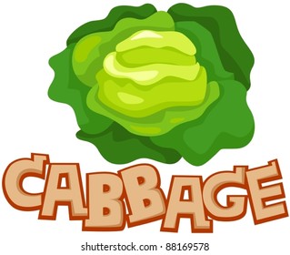 illustration of isolated letter of cabbage on white background