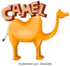illustration of isolated letter of camel on white background