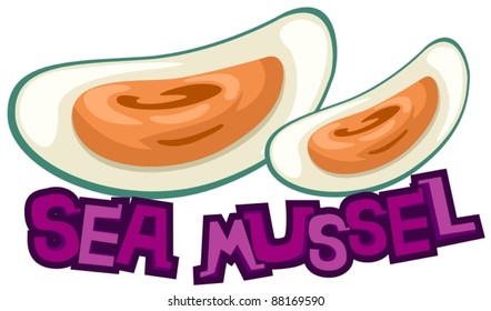 illustration of isolated letter of sea mussel on white background
