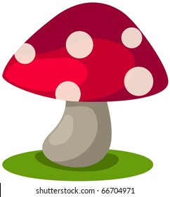 illustration of isolated mushroom on white background